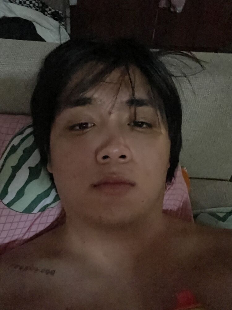  47651318  , 20 ,    