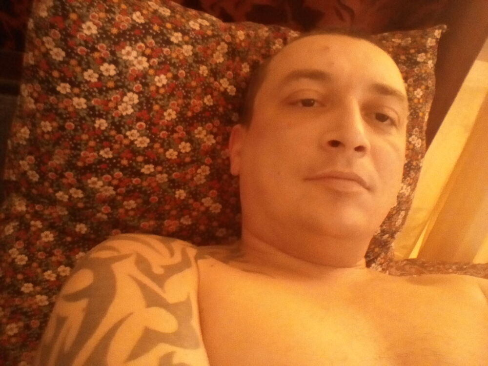  11105558  , 44 ,    