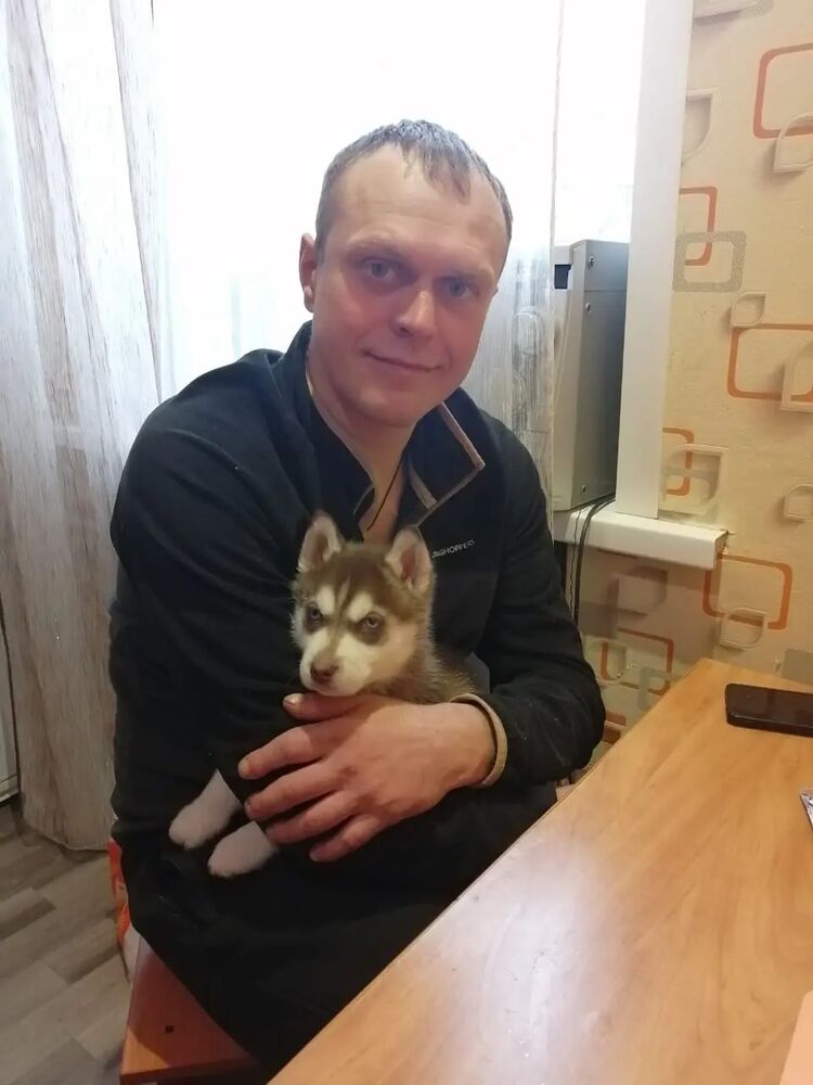 ���� 28754958 ������� �����, 43 ����, ���� ���������� � ������