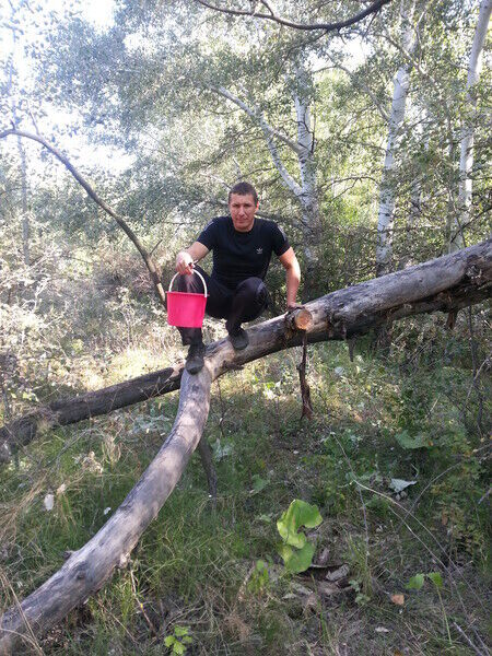 ���� 20173588 ������� �������, 52 ����, ���� ���������� � ��������