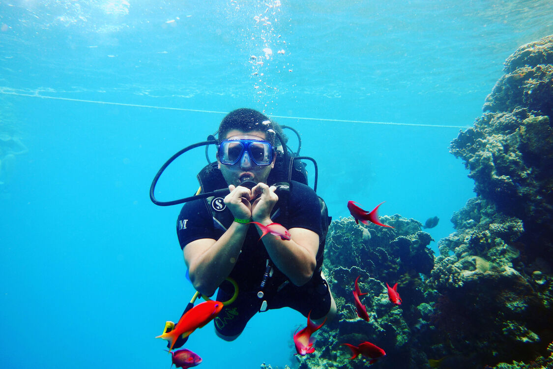 ���������� ���, ���� ������� ����, 29 ���, ������������ ��� ������, ����� � ���������