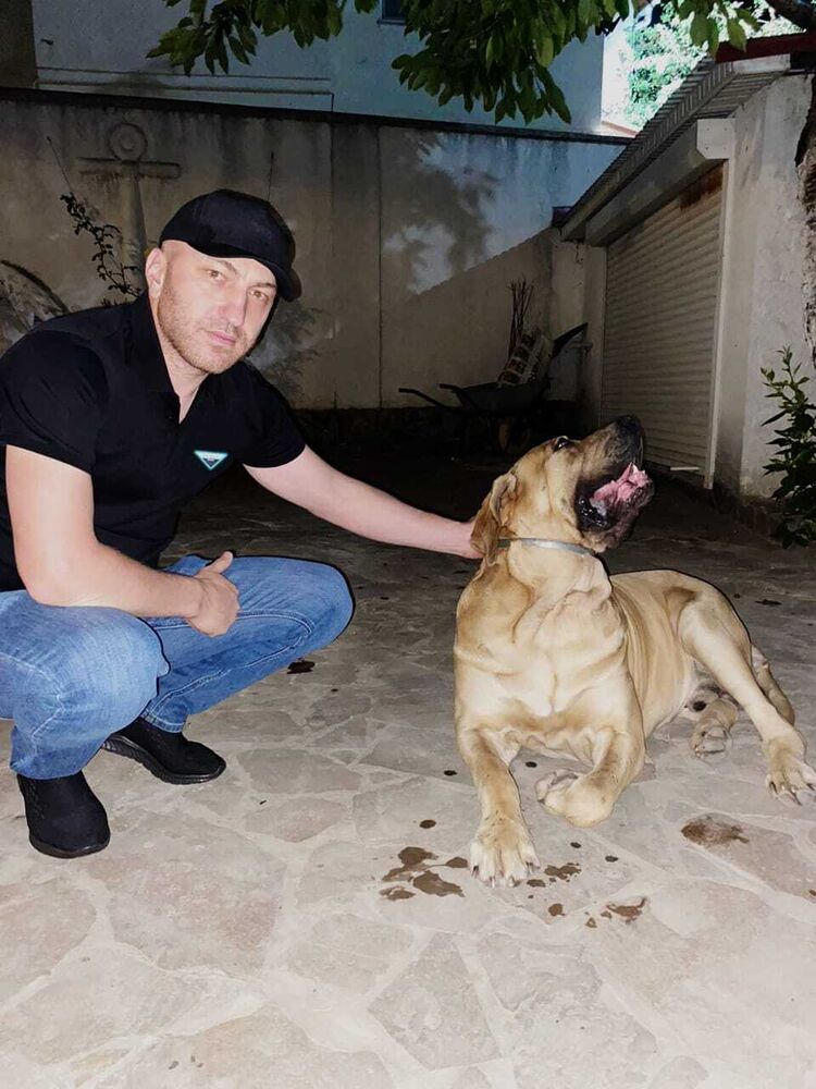 ���� 55047608 ������� ����, 40 ���, ���� ���������� � �����������