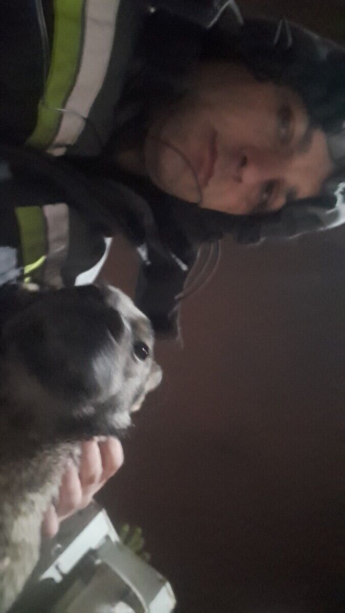 ���� 20878908 ������� �������, 39 ���, ���� ���������� � ������