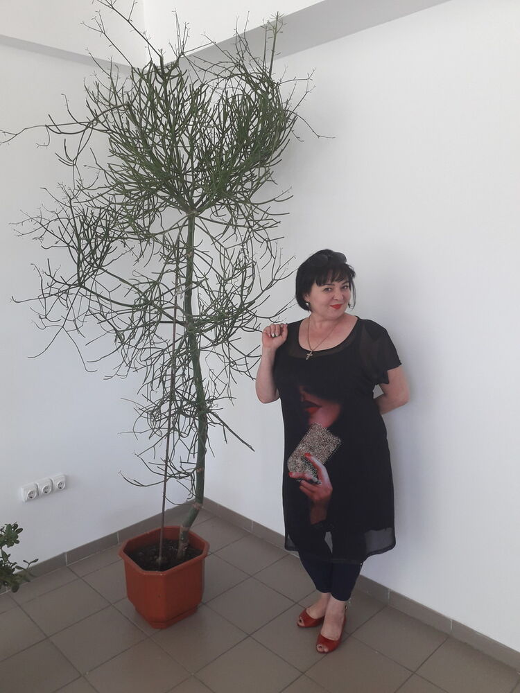 ���������� ��������������, ���� ������� ����, 50 ���, ������������ ��� ����� � ���������, c�������� ���������