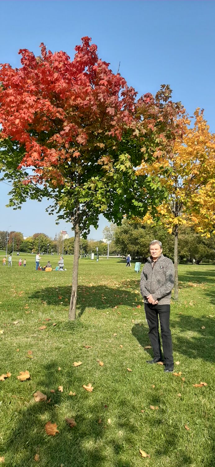 ���������� ������, ���� ������� ϸ��, 68 ���, ������������ ��� ������, ����� � ���������