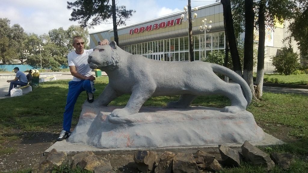 ���������� �����, ���� ������� ���������, 44 ����, ������������ ��� ������, ����� � ���������, c�������� ���������