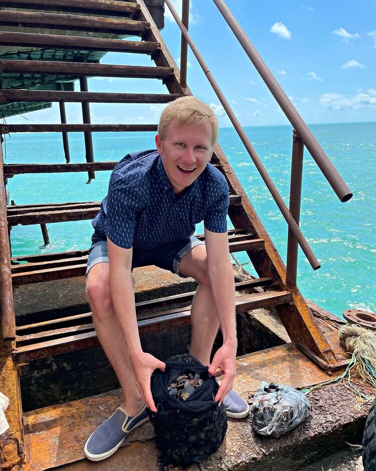 ���������� ������, ���� ������� ������, 36 ���, ������������ ��� ����� � ���������, c�������� ���������