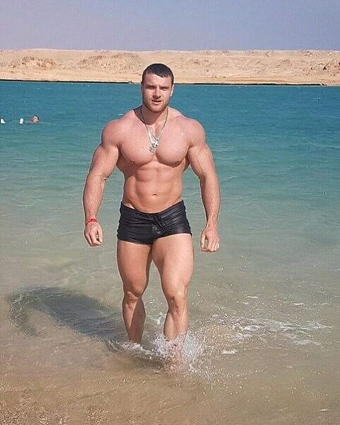 ���������� �������, ���� ������� Coleanici, 40 ���, ������������ ��� ������, ����� � ���������, c�������� ���������