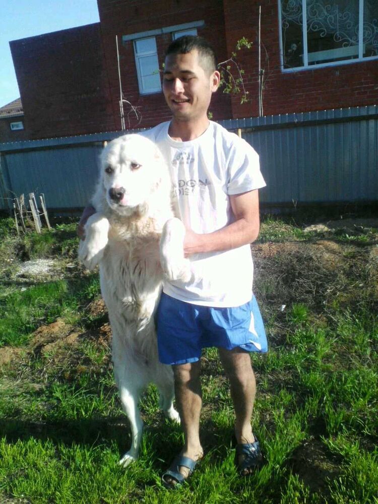 ���� 26396288 ������� ���, 32 ����, ���� ���������� � ������