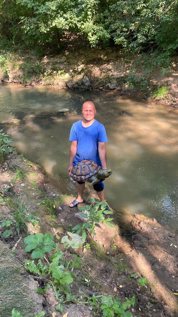 ���������� ������, ���� ������� ���������, 40 ���, ������������ ��� ������, ����� � ���������