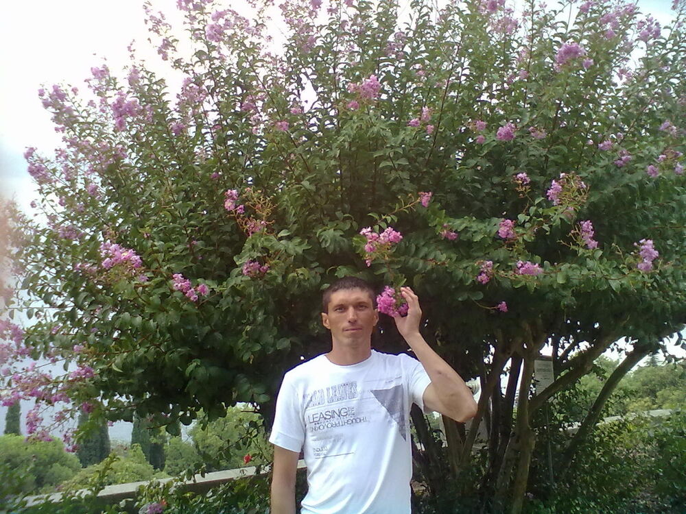 ���������� ���������, ���� ������� �������, 48 ���, ������������ ��� ������, ����� � ���������, c�������� ���������