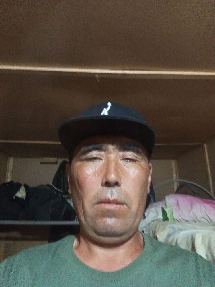  52994568  , 43 ,    