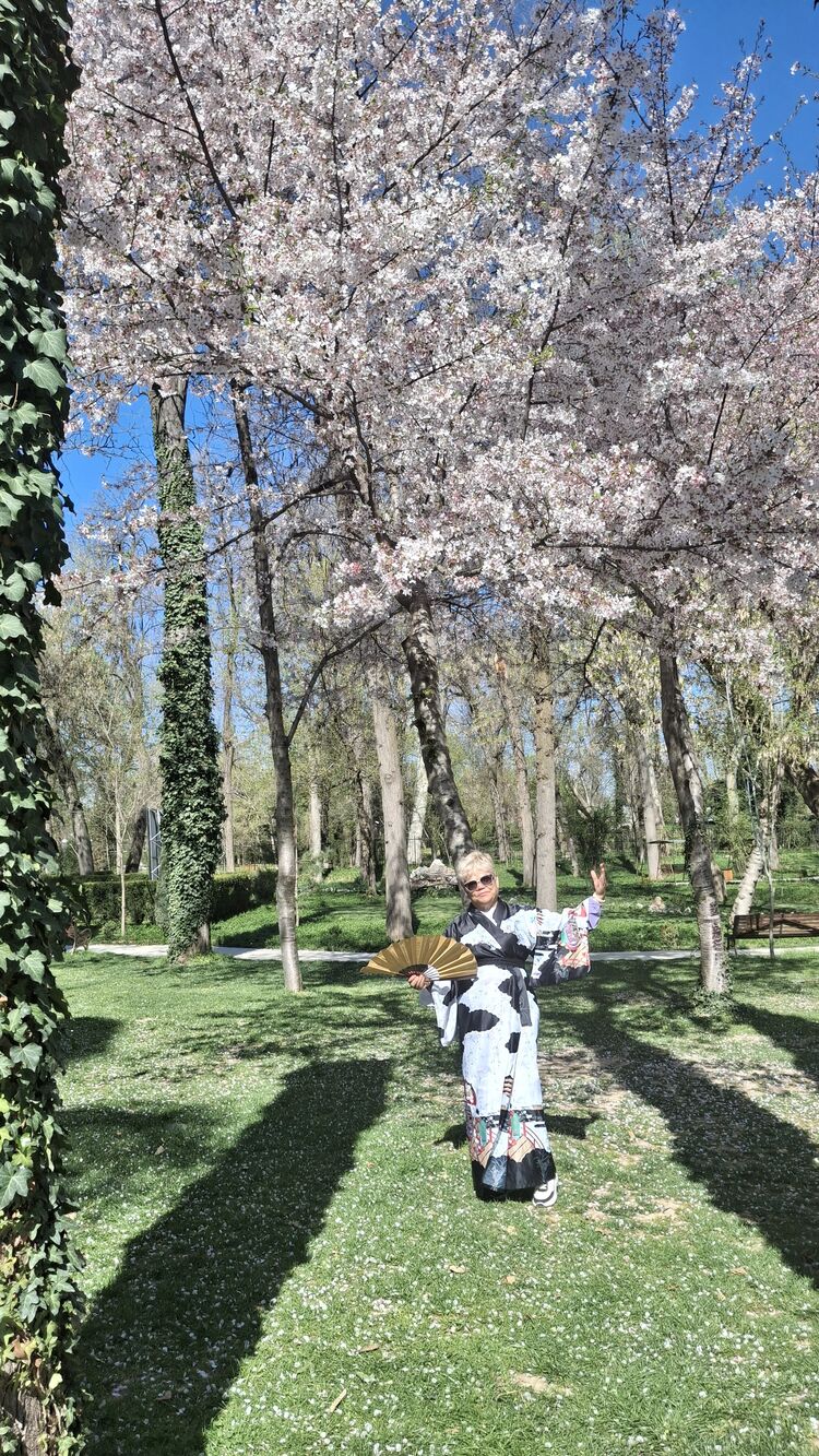 ���������� �������, ���� ������� �����, 66 ���, ������������ ��� c�������� ���������