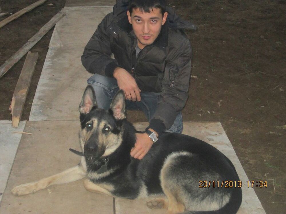  ,   , 38 ,   