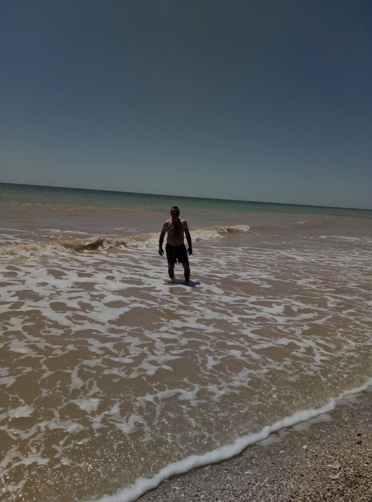  12606398  , 48 ,    
