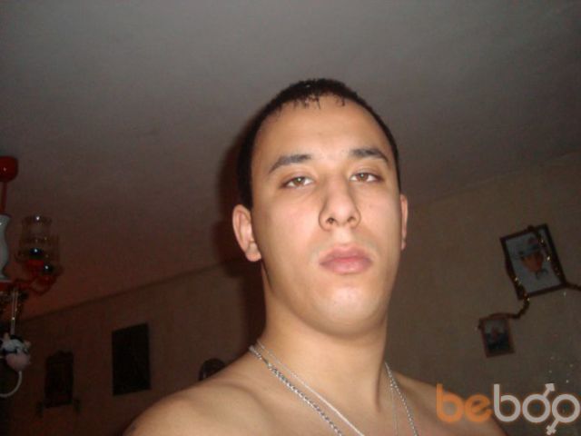  -,   Kotik, 34 ,   ,   , c 