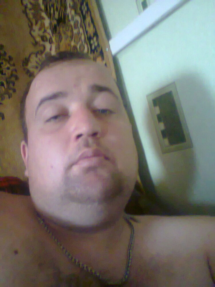 8481568  , 43 ,    