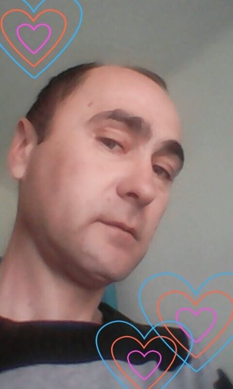  9446288  , 49 ,    