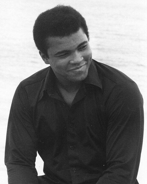  4568078  Mederov, 43 ,    