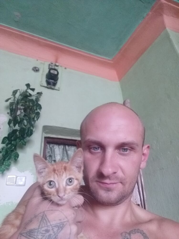 ���� 24913178 ������� �����, 34 ����, ���� ���������� � ������