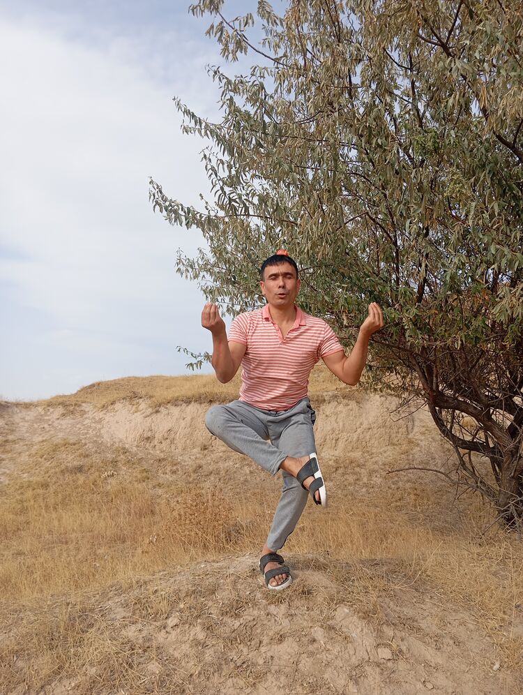  53834078  , 30 ,    -