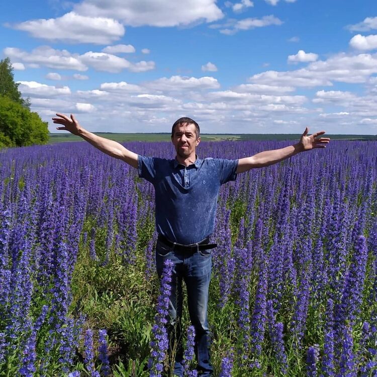 ���� 24810148 ������� ������, 49 ���, ���� ���������� � ����������