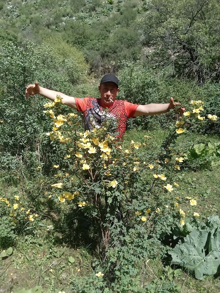  ,   Vovka, 40 ,  