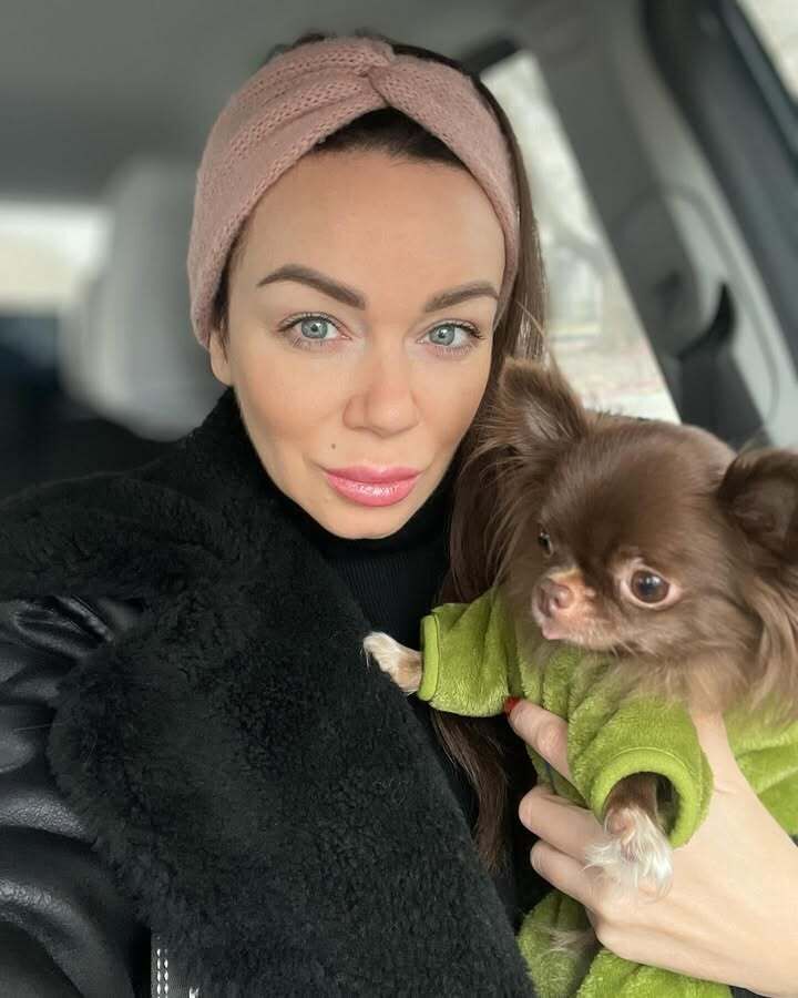 ���� 52972808 ������� �����, 33 ����, ���� ���������� � ������������