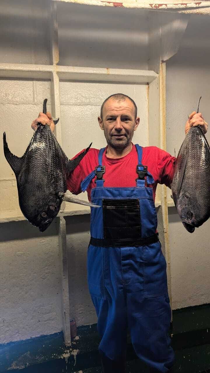 ���������� �����������, ���� ������� ��������, 45 ���, ������������ ��� c�������� ���������