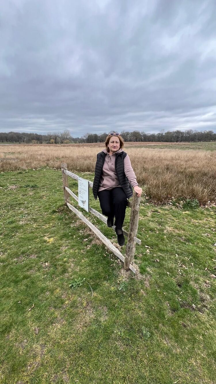 ���� 56151498 ������� ������, 53 ����, ���� ���������� � ���������