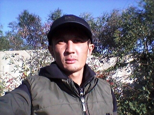  17730268  , 37 ,    -