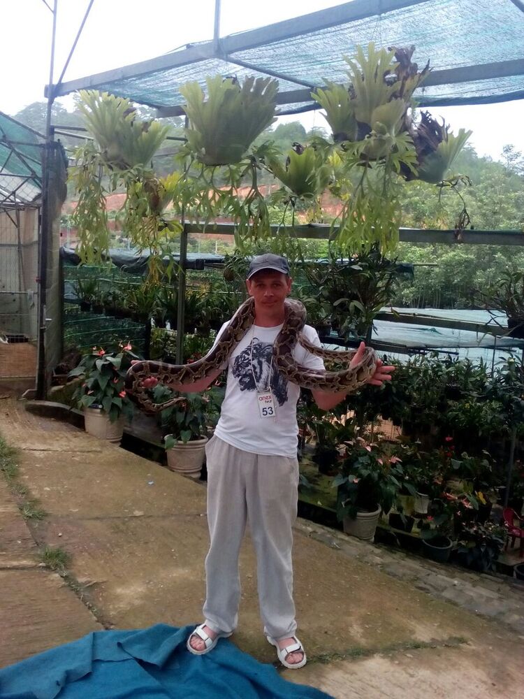  ,   , 45 ,   