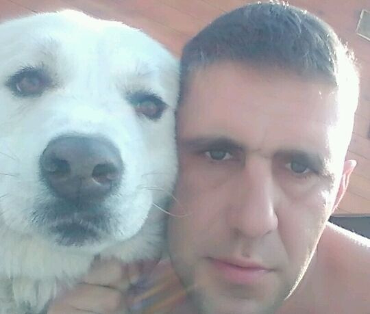 ���������� �����-���������, ���� ������� ����, 40 ���, ������������ ��� ������, ����� � ���������