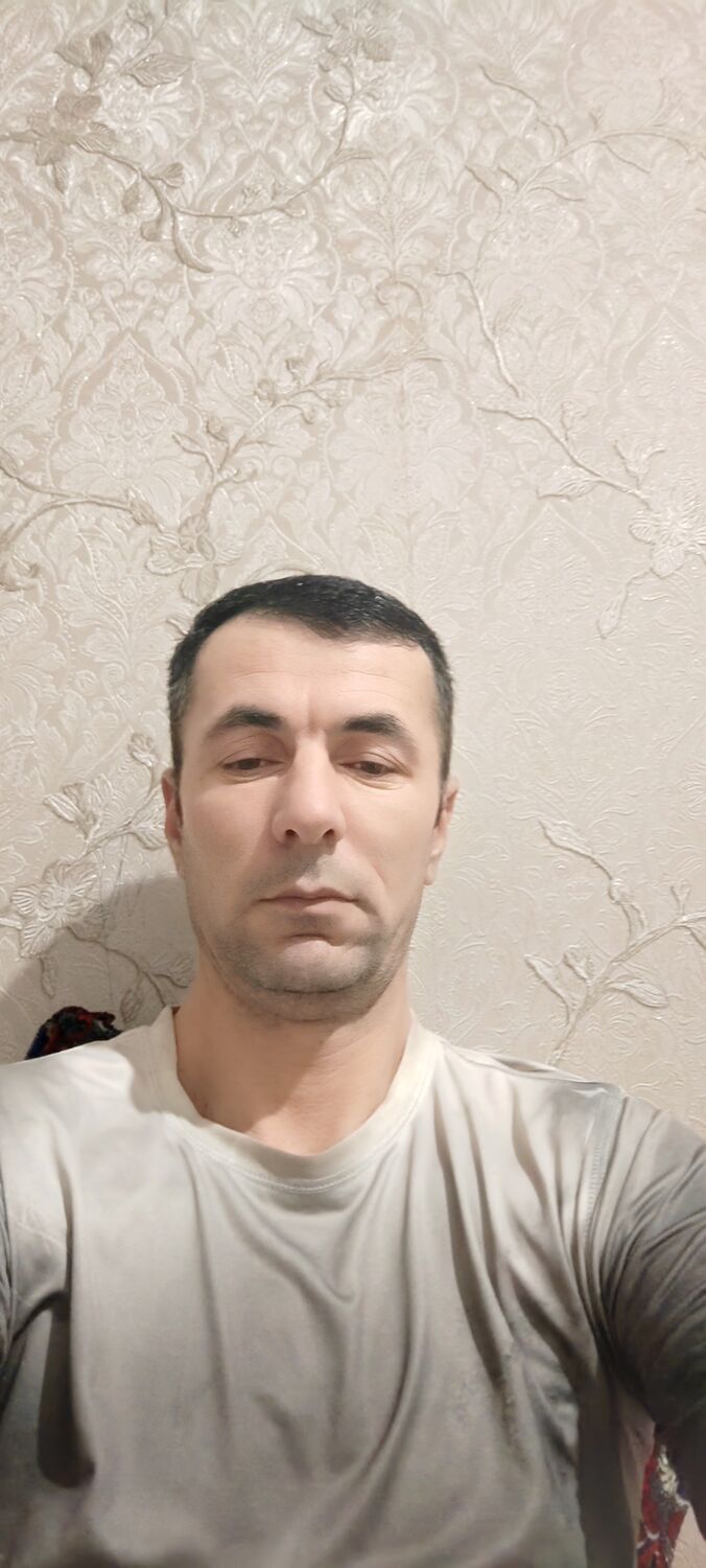  52785438  , 41 ,    