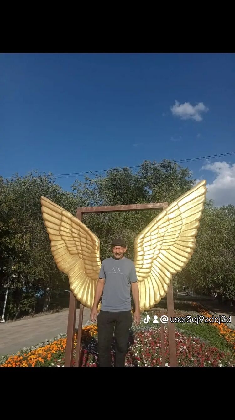 47937918  , 46 ,    