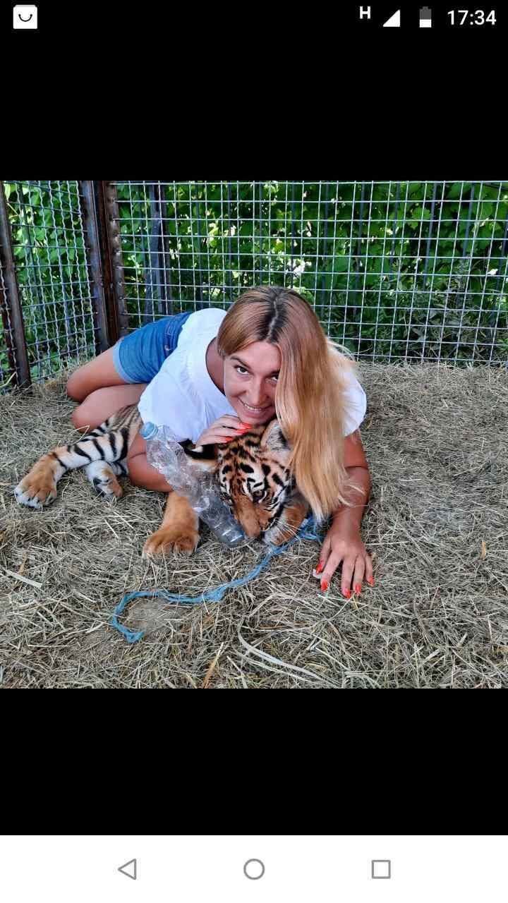 ���������� �����, ���� ������� �����, 35 ���, ������������ ��� c�������� ���������