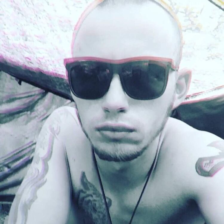  41366238  , 31 ,    