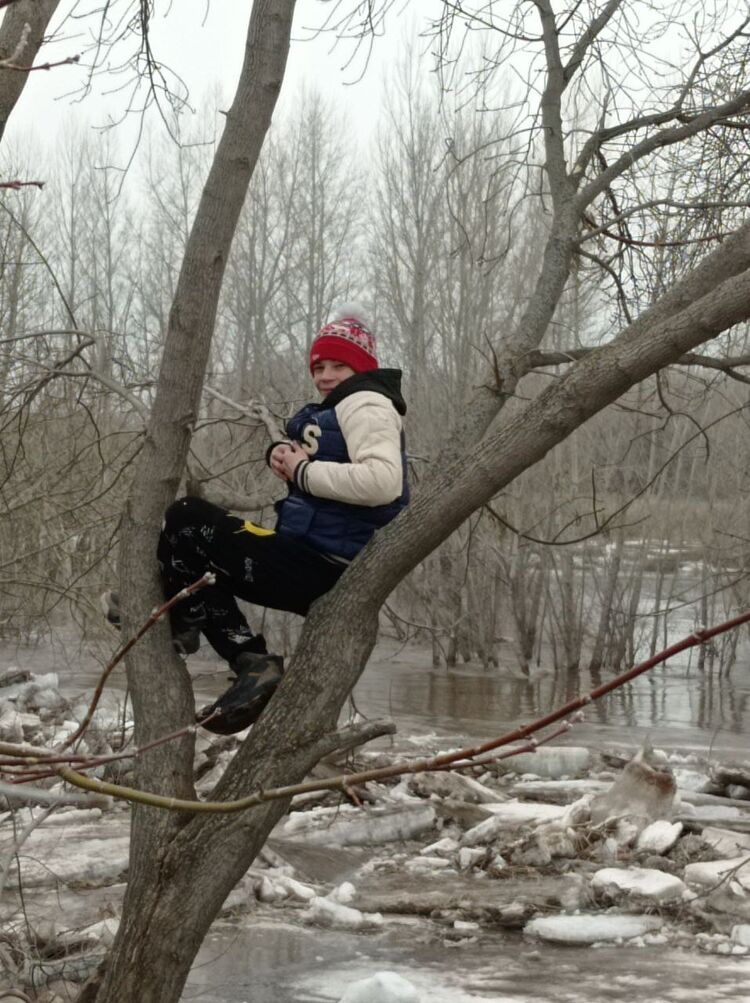 ���� 33613838 ����� �����, 22 ����, ���� ���������� � ���