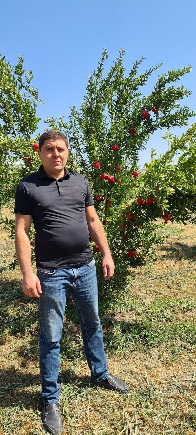 ���������� �����-���������, ���� ������� Seryozha, 40 ���, ������������ ��� ������, ����� � ���������