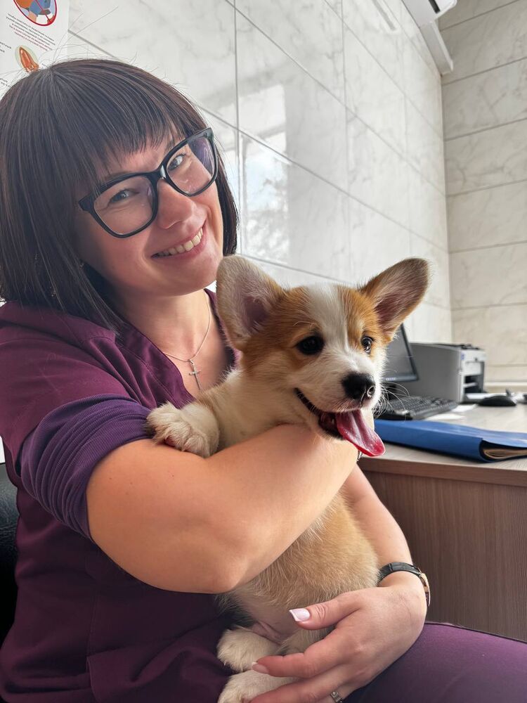 ���������� ����������, ���� ������� ��������, 35 ���, ������������ ��� ������, ����� � ���������, c�������� ���������