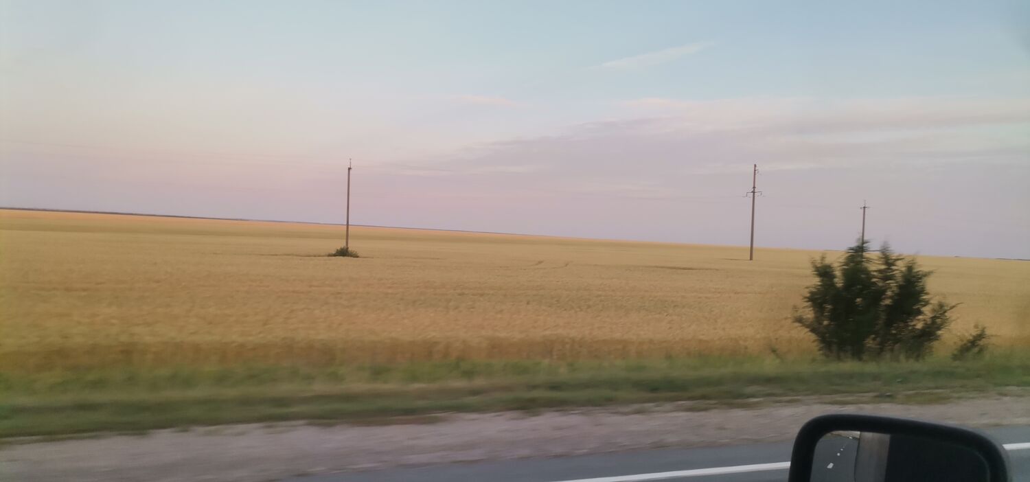  35533388  , 48 ,    