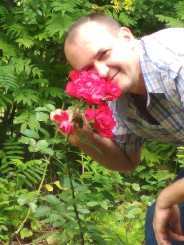 ���� 24412688 ������� ������, 50 ���, ���� ���������� � ��������