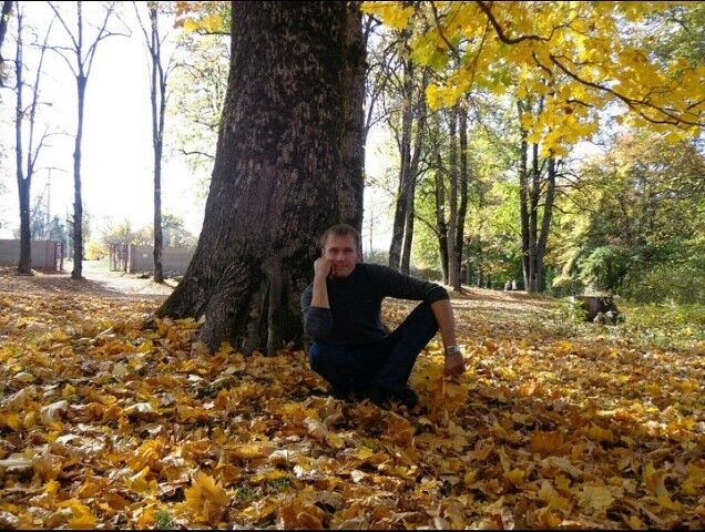  13442638  , 39 ,    --