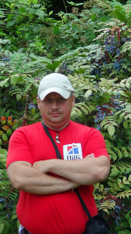 ���������� ����, ���� ������� �����, 56 ���, ������������ ��� ������, ����� � ���������, c�������� ���������