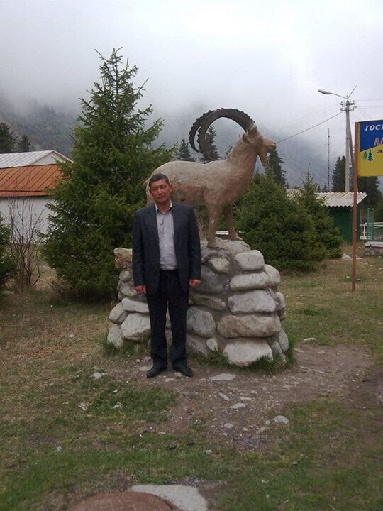  ,   , 54 ,   ,   