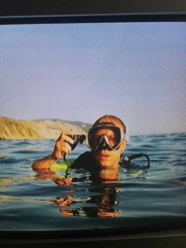 ���������� �����������, ���� ������� ������, 31 ���, ������������ ��� ������, ����� � ���������, c�������� ���������