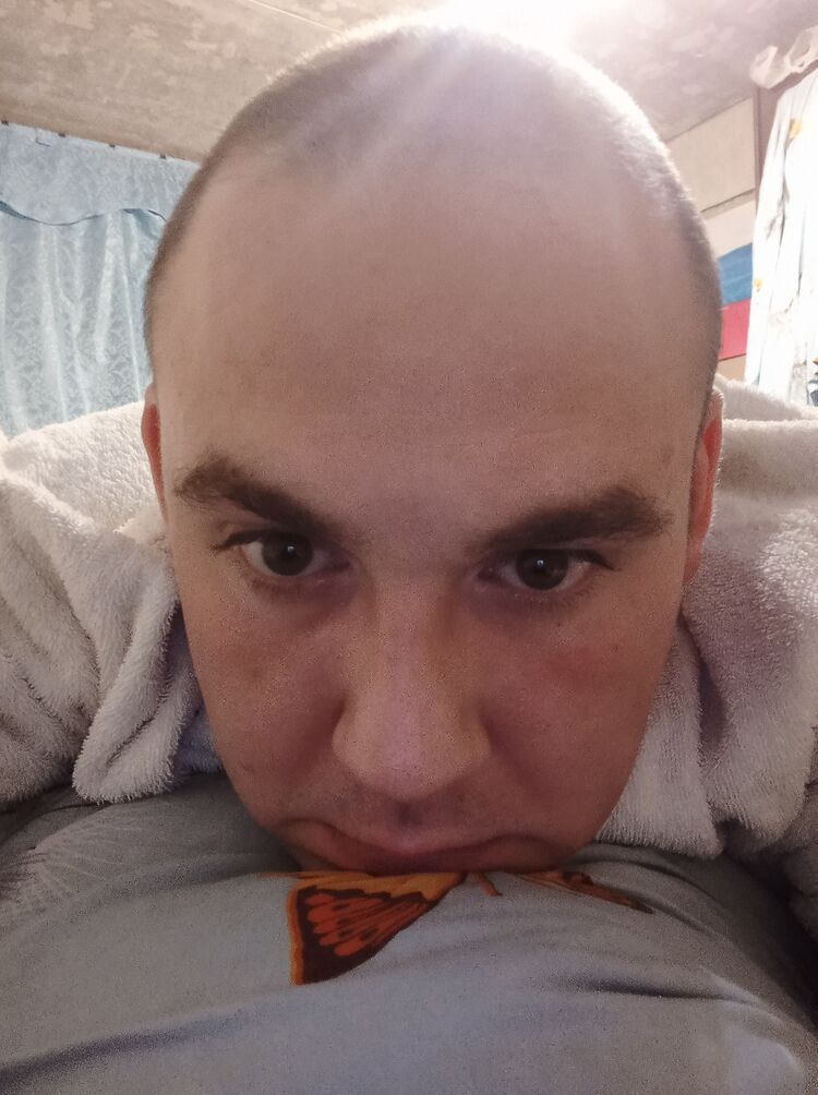  46653708  , 31 ,    