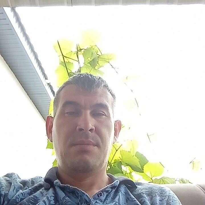 ���� 44618748 ������� Flarit, 40 ���, ���� ���������� � ������������