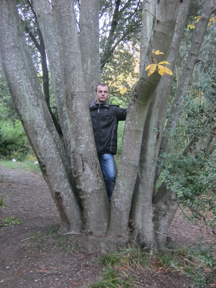 ���������� ����, ���� ������� ������, 38 ���, ������������ 