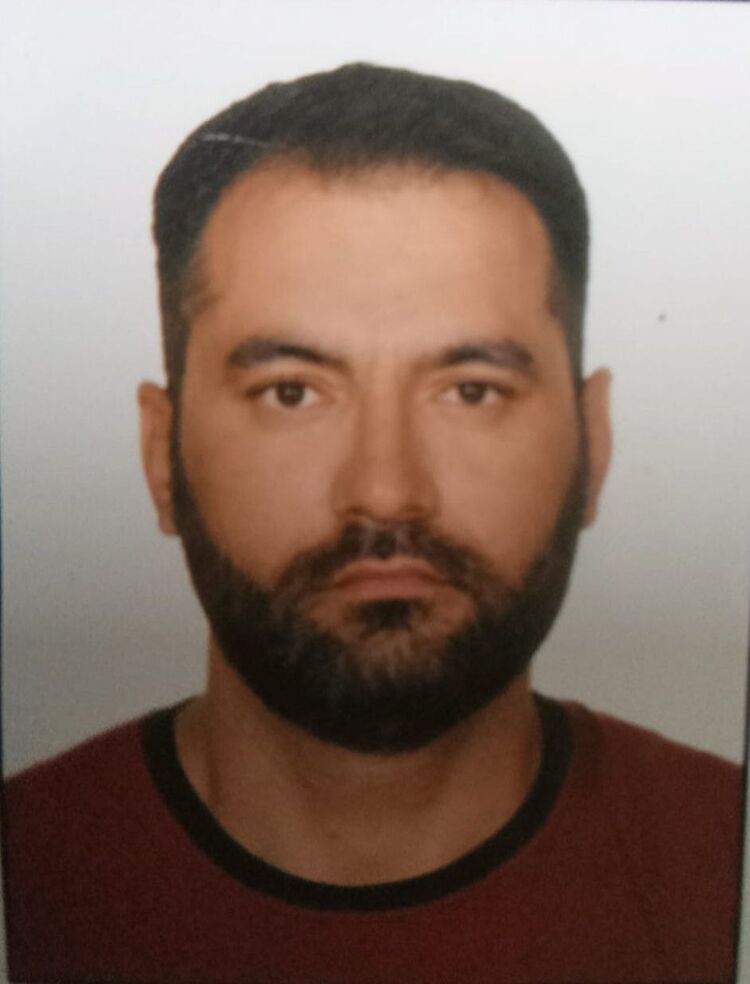  43156338  , 29 ,    